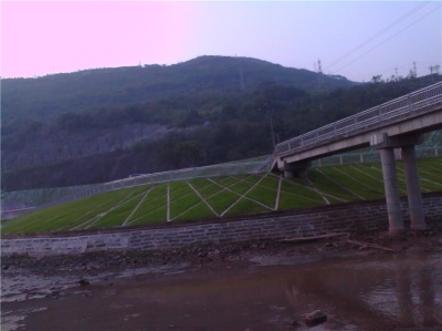 四川南充護(hù)城河治理項目生態(tài)混凝土1