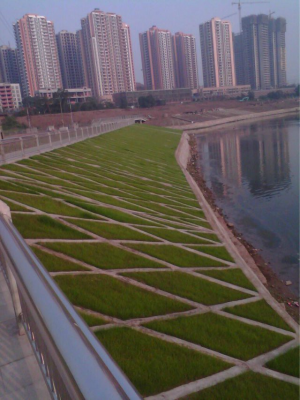 四川南充護(hù)城河治理生態(tài)混凝土項目